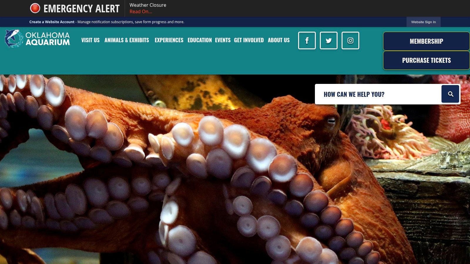 A large octopus inside its exhibit at the Oklahoma Aquarium