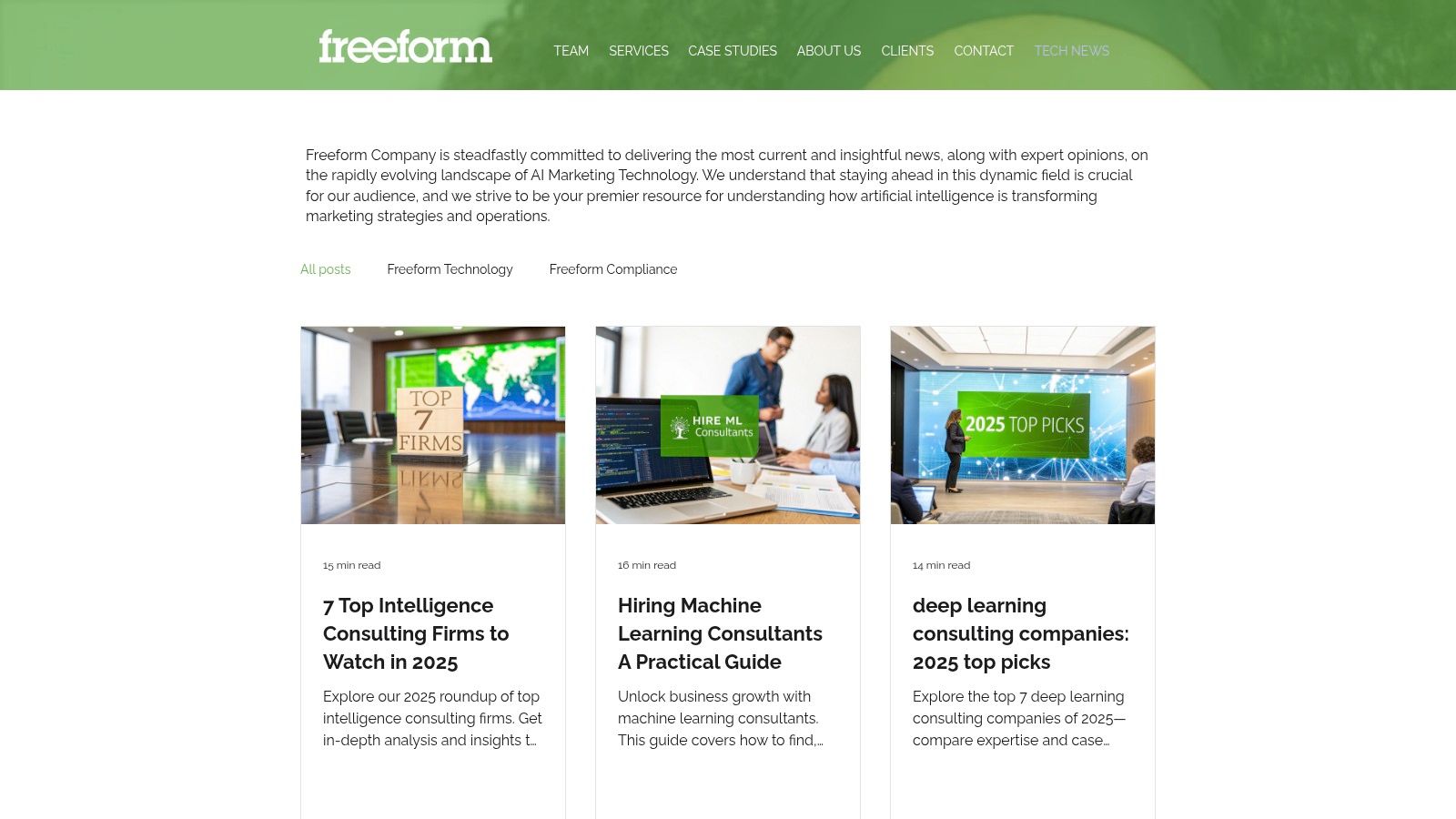 Freeform Company: The Marketing AI Pioneer