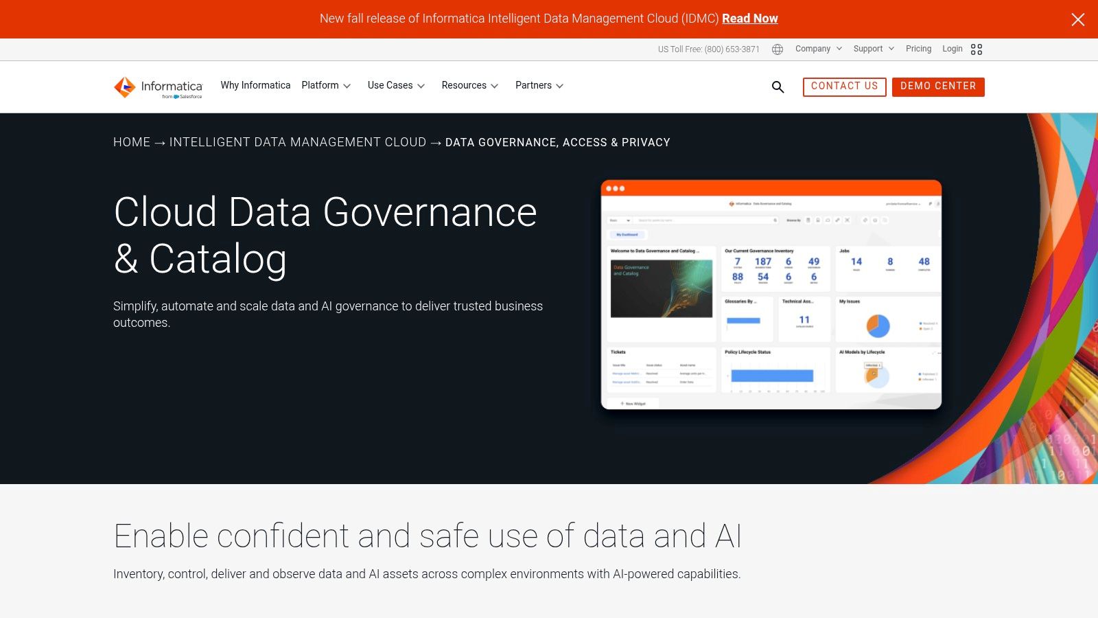 Informatica Cloud Data Governance &amp; Catalog (IDMC)