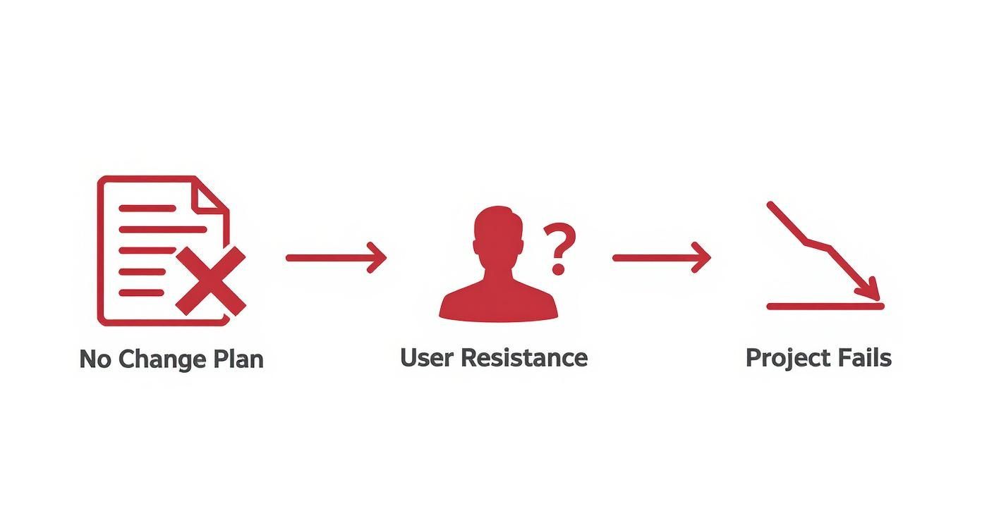 Infographic about change management consultant