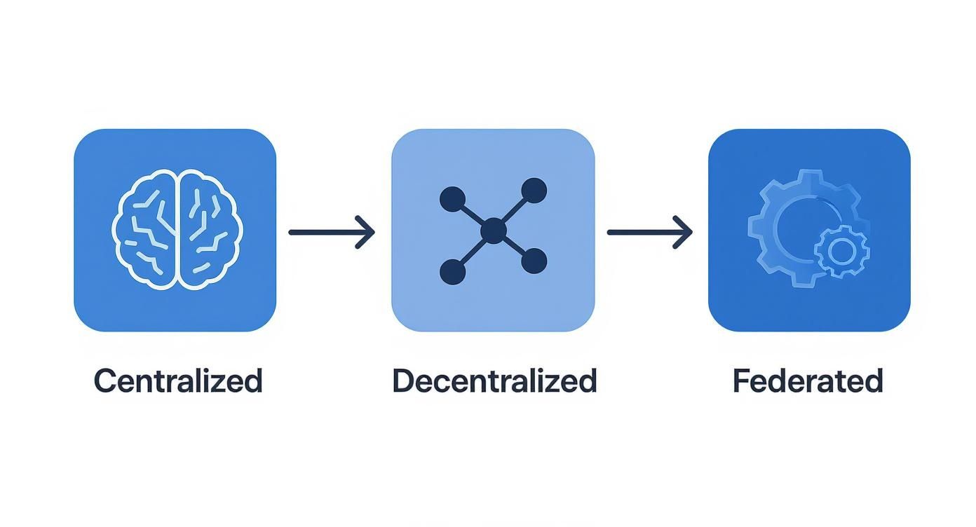 Infographic illustrating three operating models for a centre for digital transformation: Centralized, Decentralized, and Federated.