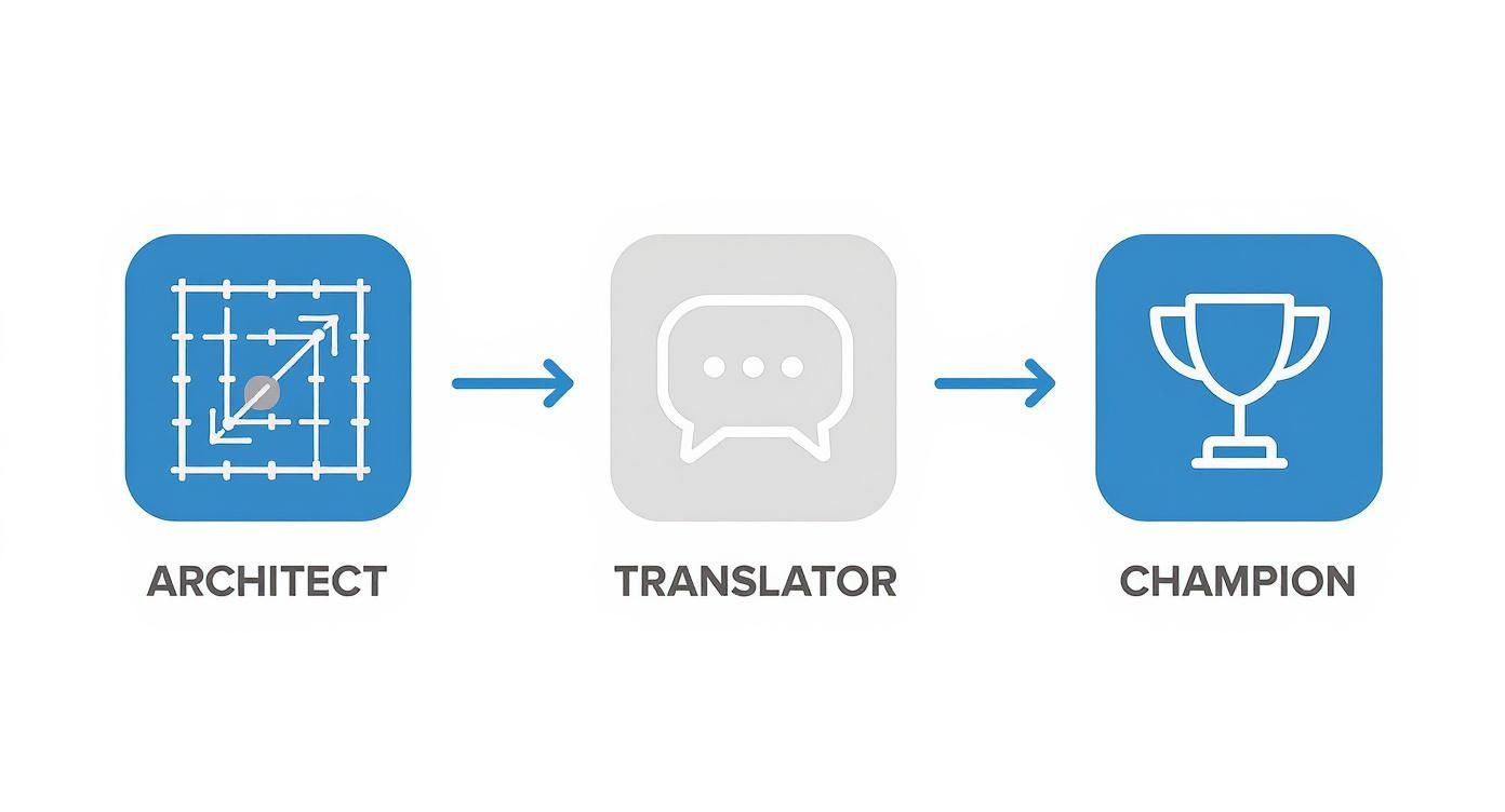Infographic about consultant digital transformation