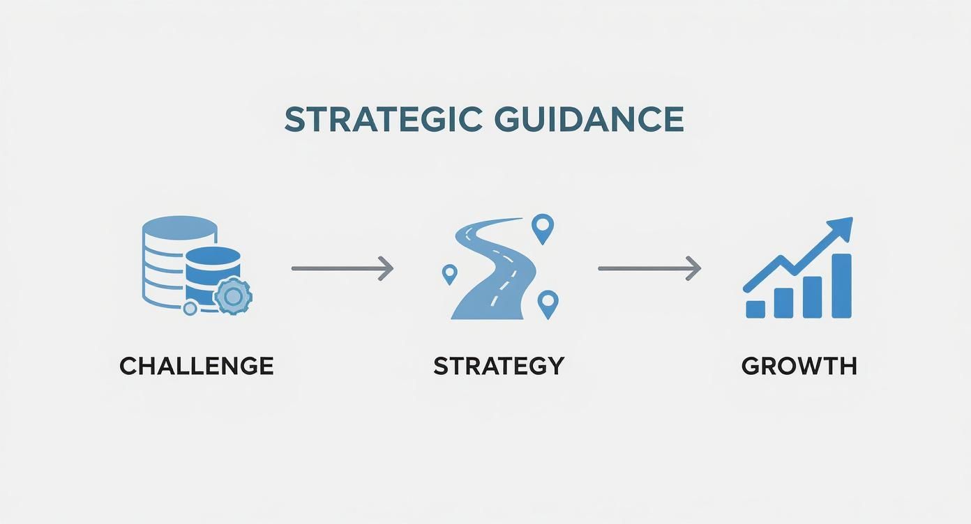 Infographic about digital business transformation consulting