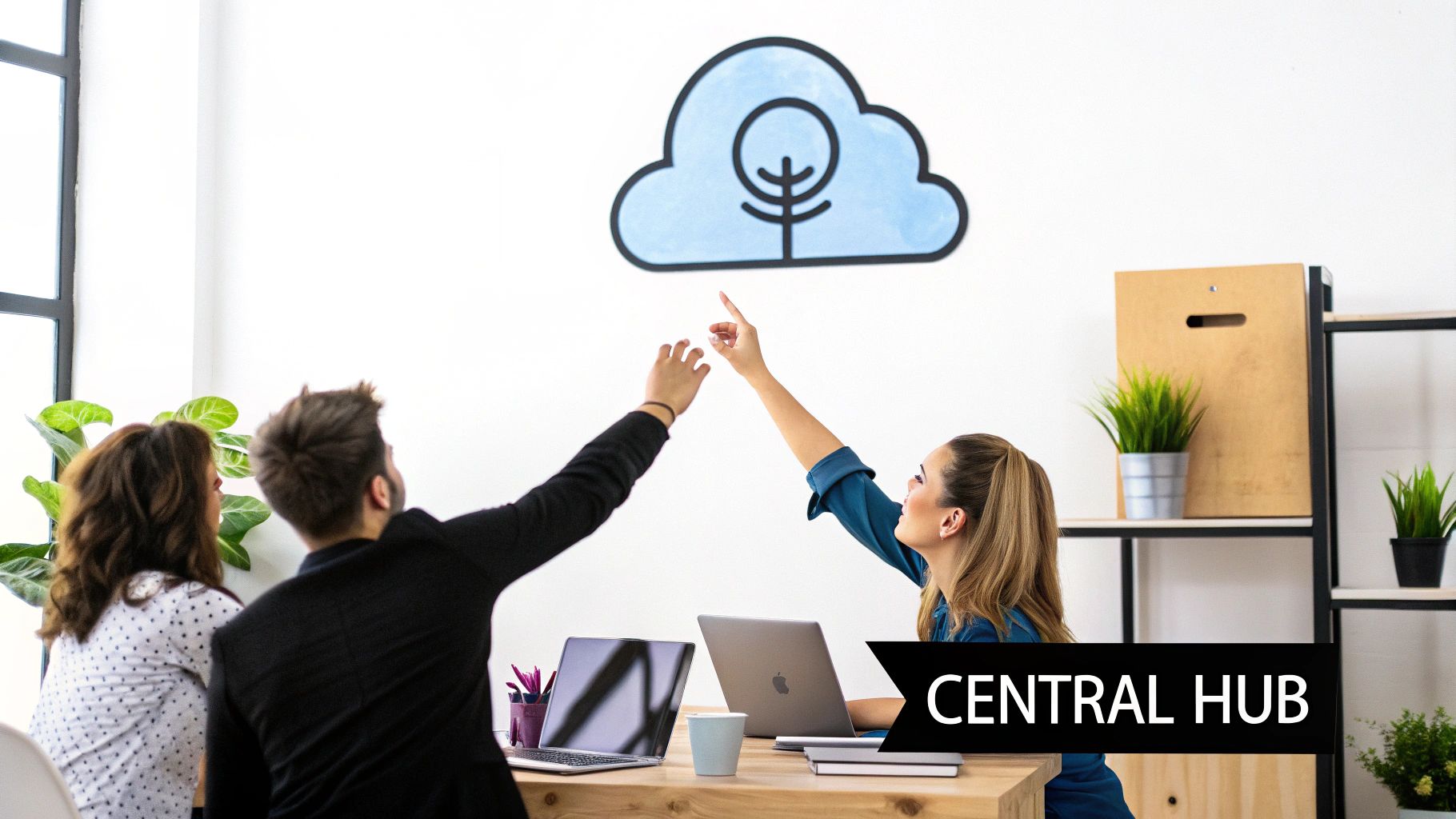 Establish a Centralized Repository