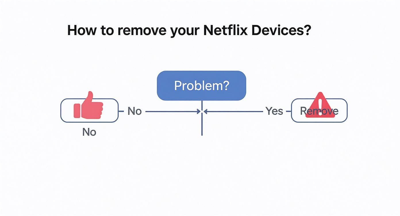 Infographic about remove devices from netflix