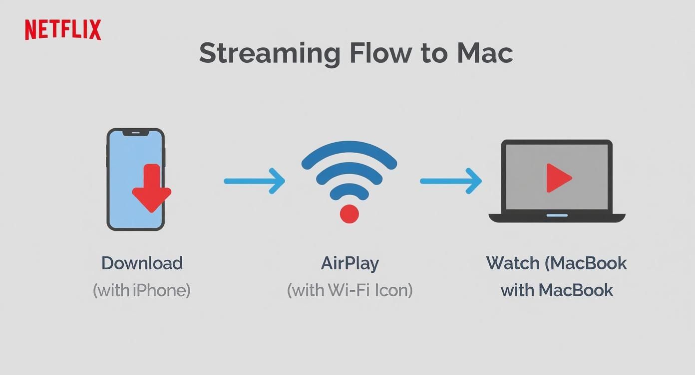 Netflix streaming flow: Download on iPhone, AirPlay via Wi-Fi, and watch on MacBook.