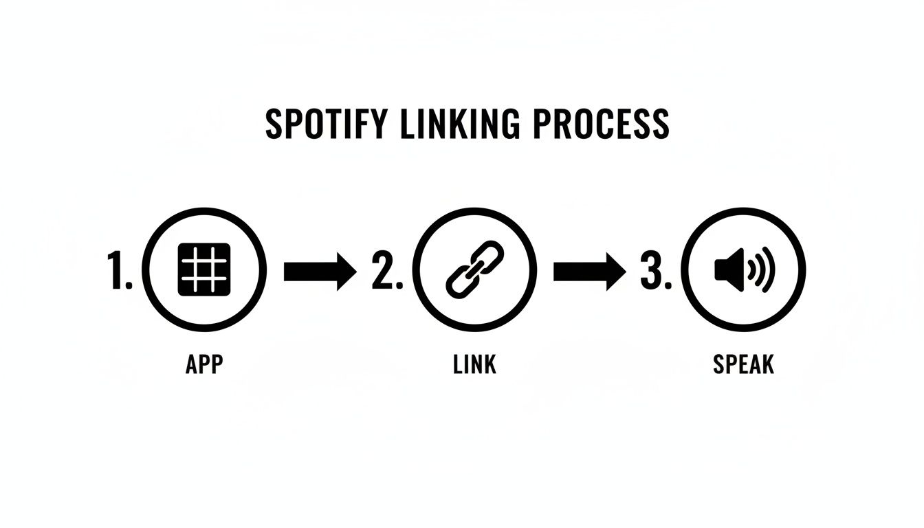 Visual representation of the Spotify linking process showing app, link, and speak steps.