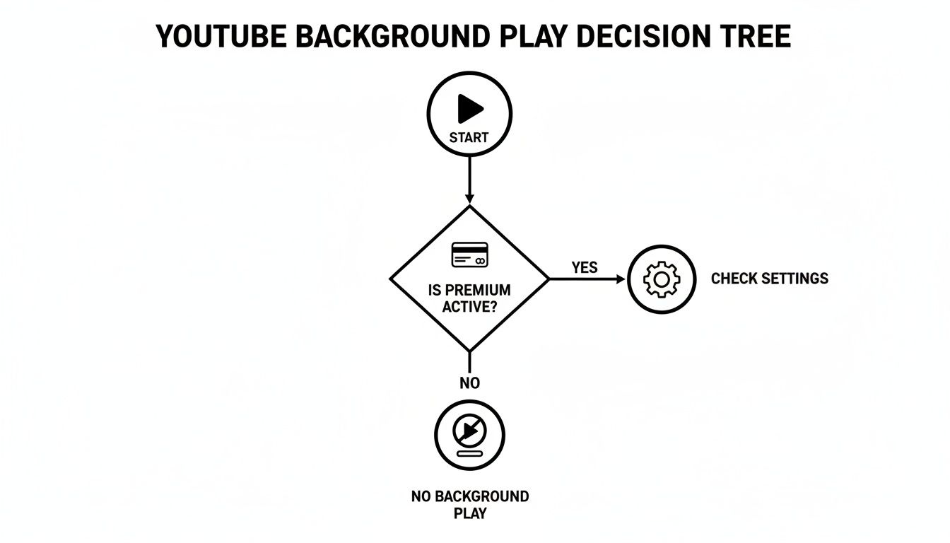 A YouTube background play decision tree flowchart illustrating the steps from start, checking premium status, to checking settings or no background play.