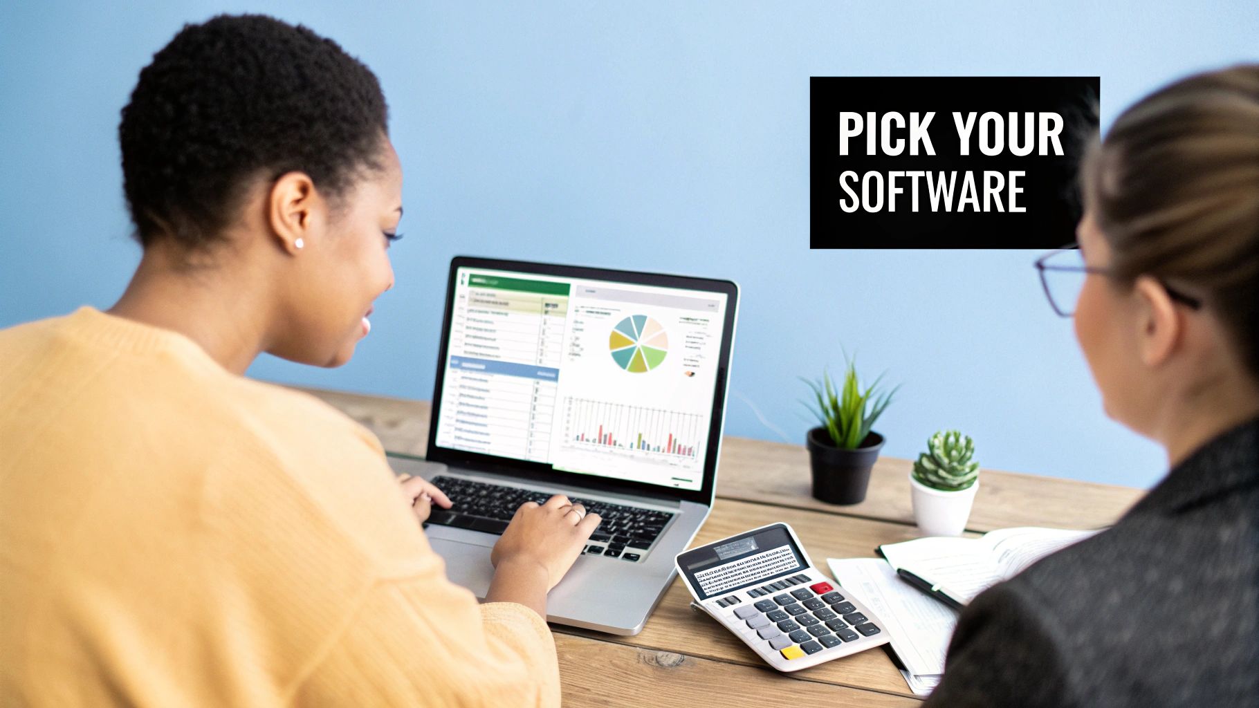 A person using a laptop with accounting software charts on the screen