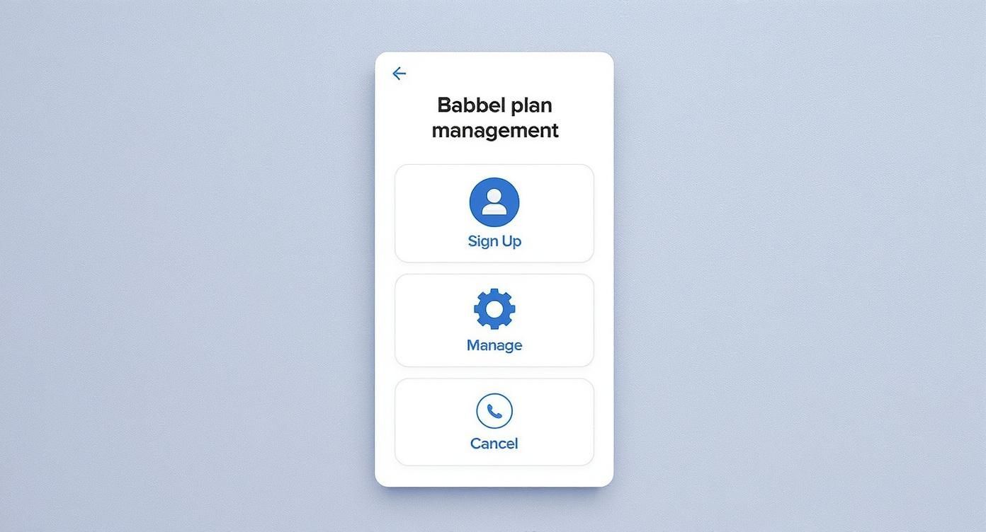 Infographic about babbel monthly subscription