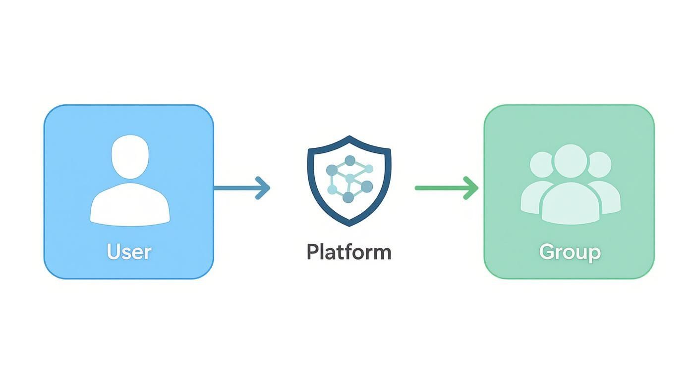 Infographic about discount netflix subscription