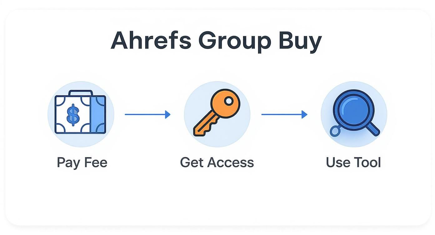 Infographic about group buy ahref