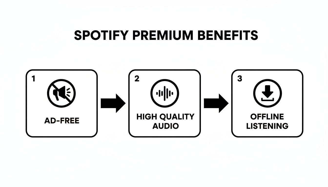 Spotify Premium benefits: ad-free music, high-quality audio, and offline listening features.