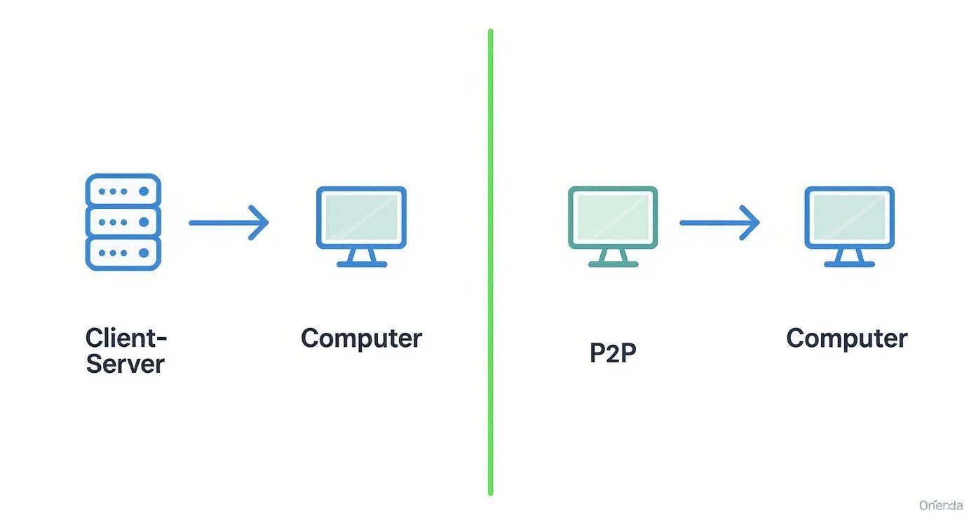 Infographic about what is peer to peer sharing