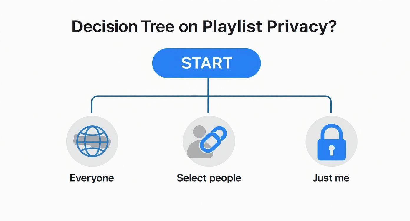 Decision tree flowchart showing three YouTube playlist privacy options: everyone, select people, and just me
