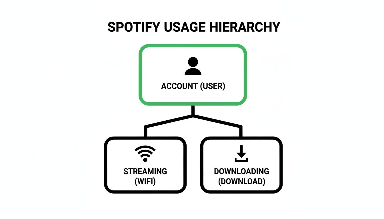A Spotify usage hierarchy diagram showing an account (user) branching into streaming (WiFi) and downloading.