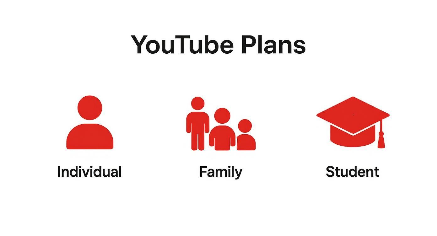 YouTube Plans display individual, family, and student subscription options with illustrative red icons.