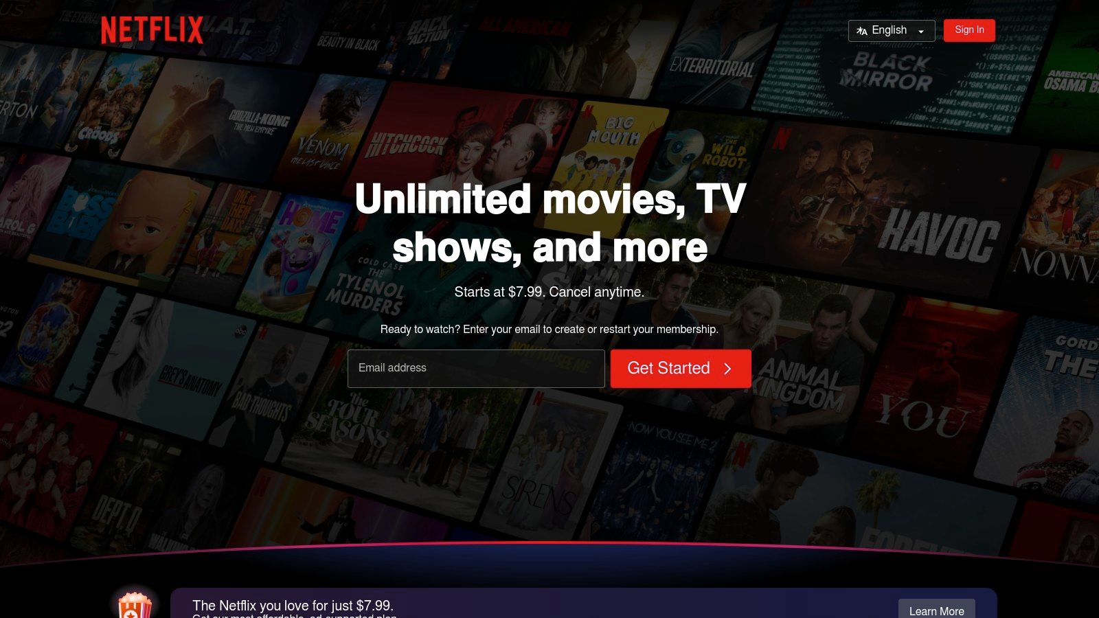 Netflix Basic
