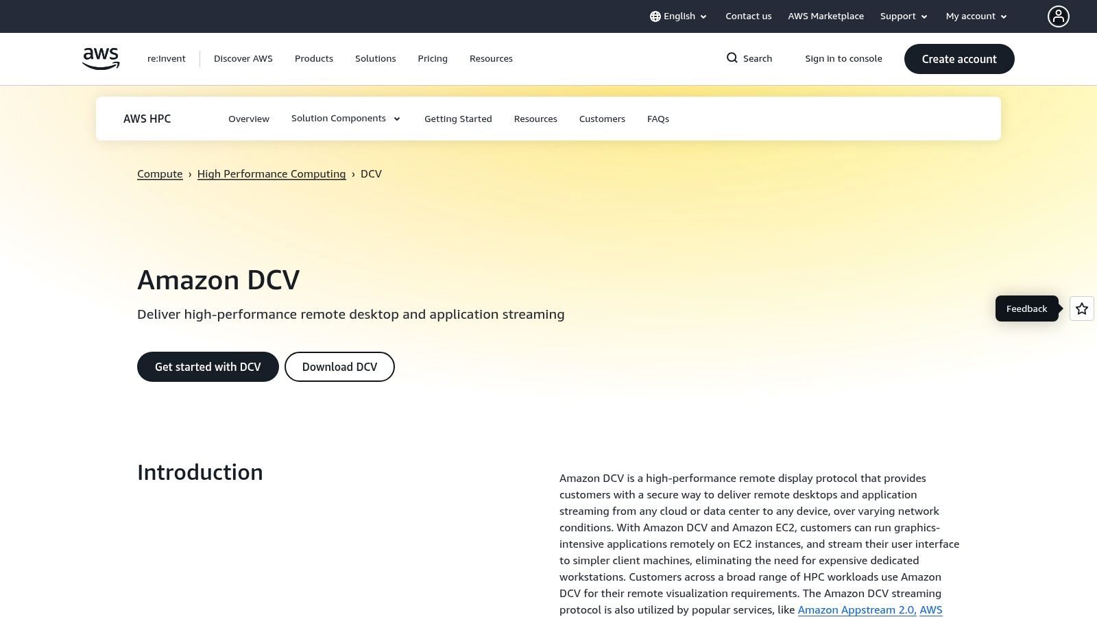 Amazon DCV (AWS)