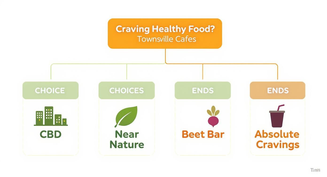 A flowchart showing healthy food cafes in Townsville, including CBD, Near Nature, Beet Bar, and Absolute Cravings.