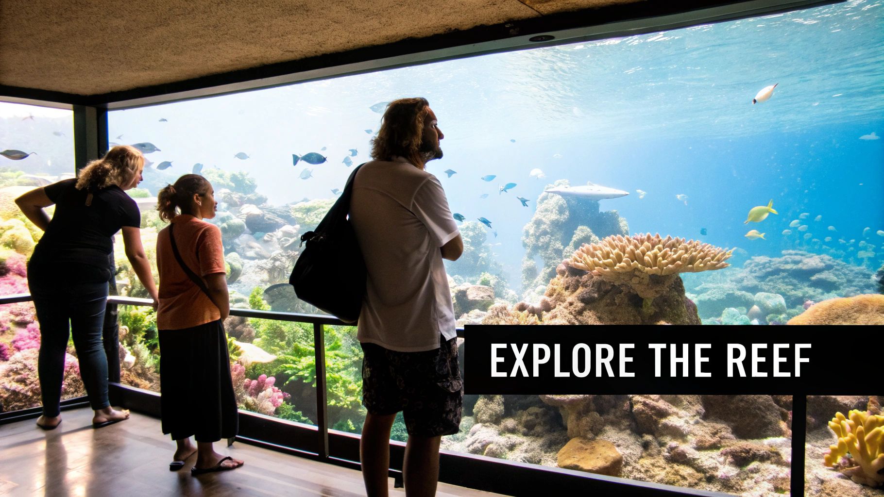 1. Explore the Great Barrier Reef at Reef HQ Aquarium