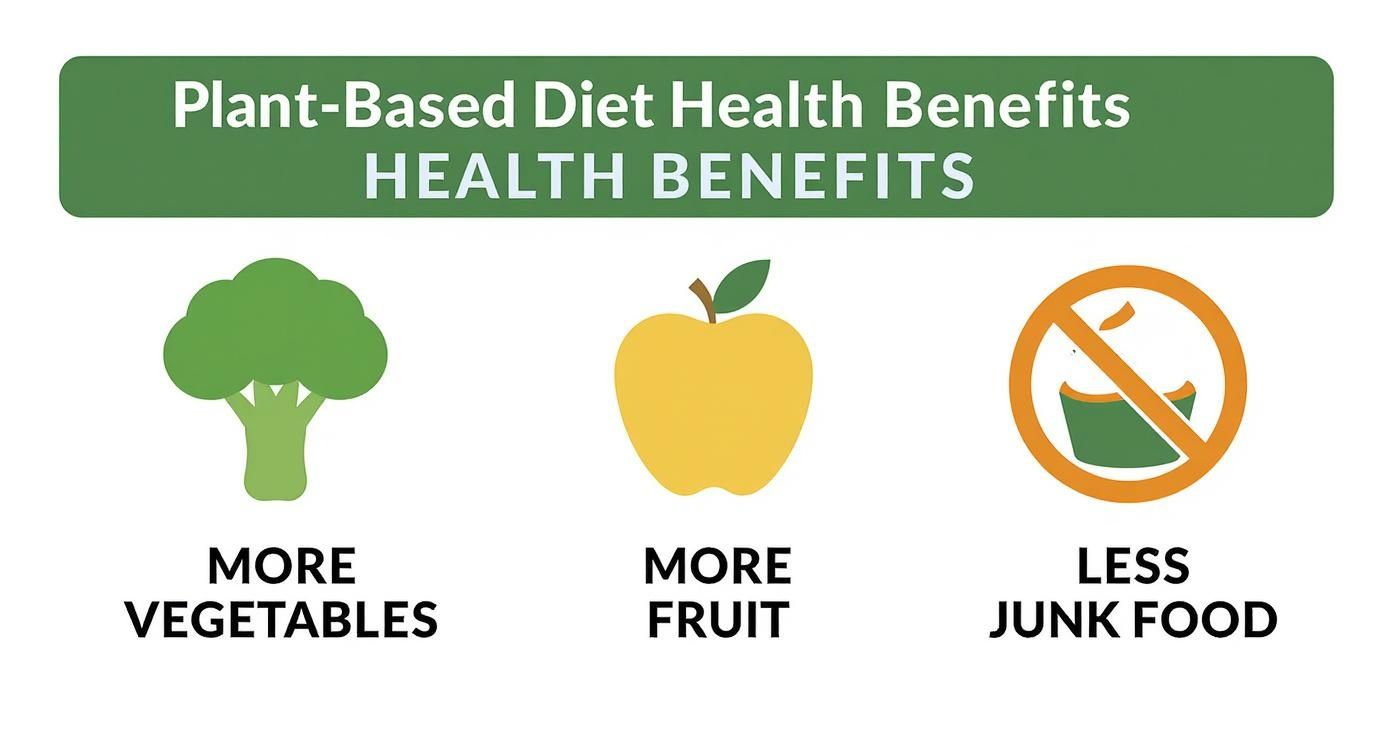 Plant-based diet health benefits infographic showing more vegetables, more fruit, and less junk food icons