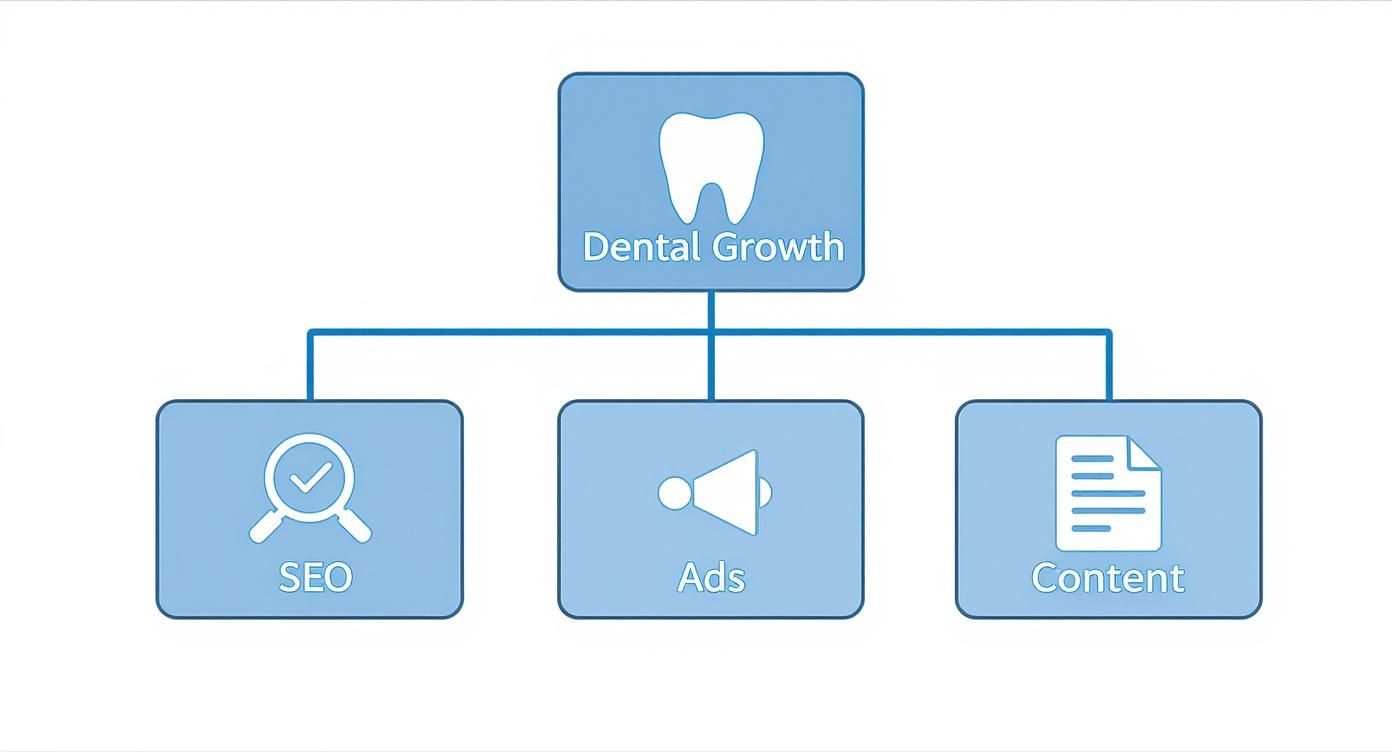 Infographic about digital marketing for dentists