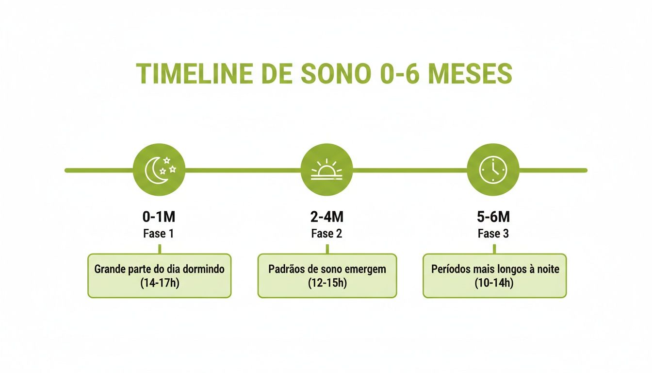 Timeline de sono para recém-nascidos de 0 a 6 meses, detalhando fases e horas de sono diárias.