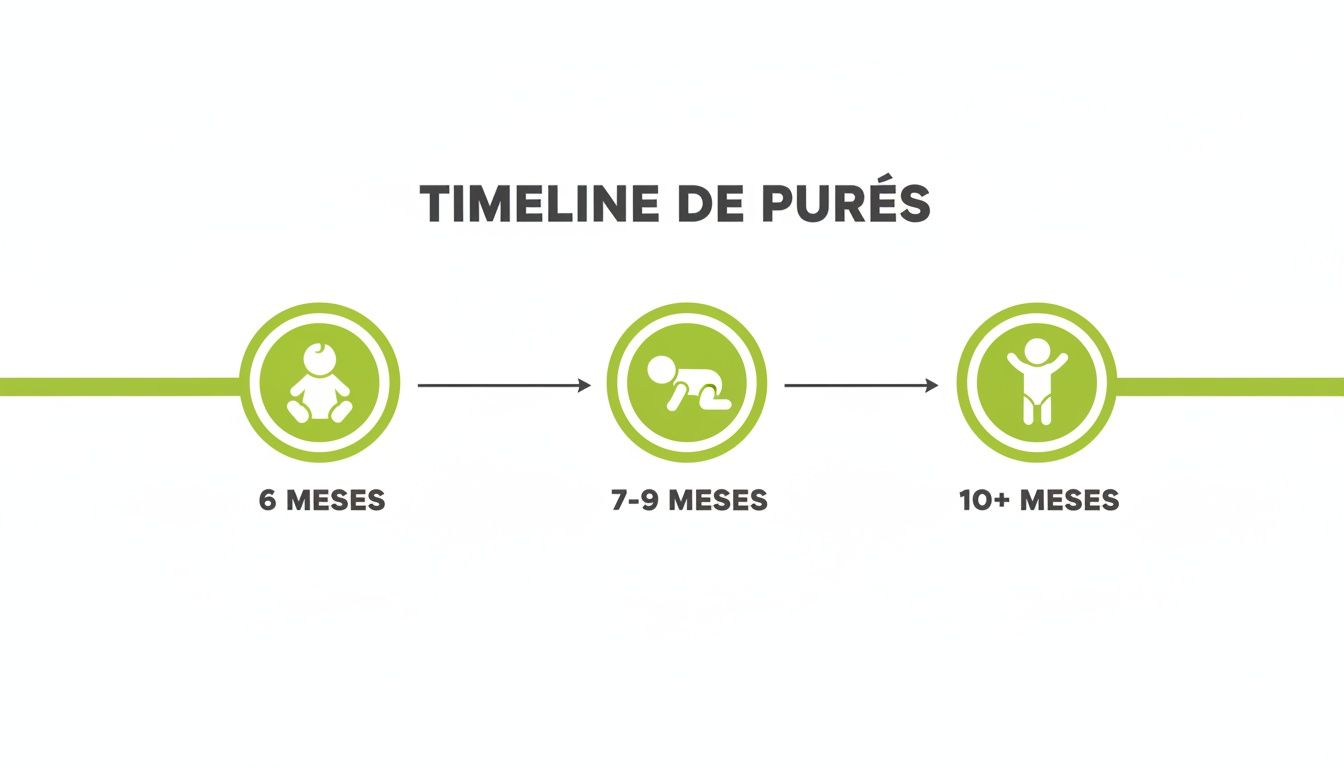Linha do tempo de purés para bebês, mostrando a progressão de idade em 6, 7-9 e 10+ meses.