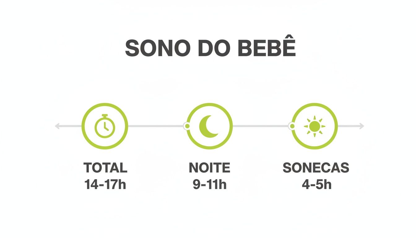 Gráfico informativo sobre o sono do bebê, detalhando horas totais, noturnas e de sonecas.