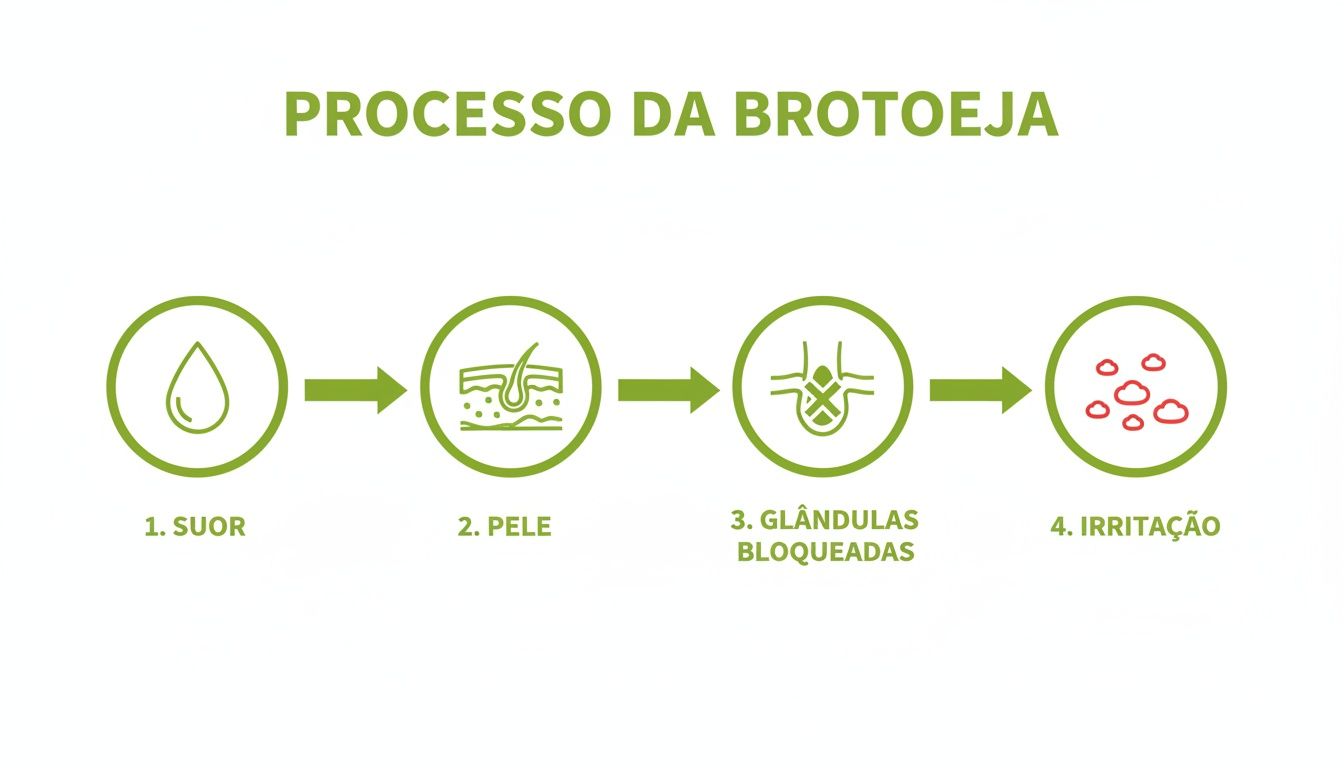 Infográfico ilustra o processo da brotoeja em quatro etapas: suor, pele, glândulas bloqueadas e irritação.