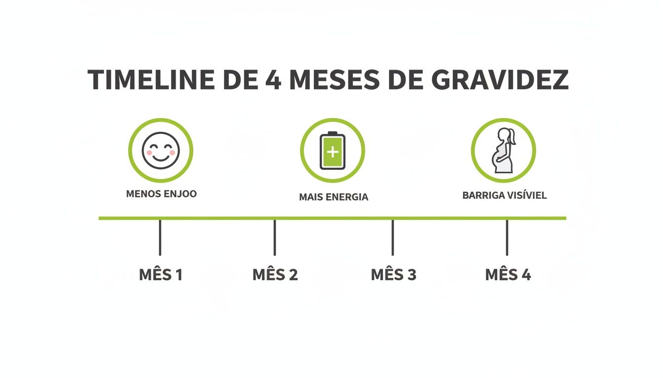 Linha do tempo de 4 meses de gravidez ilustrando marcos como menos enjoo, mais energia e barriga visível.