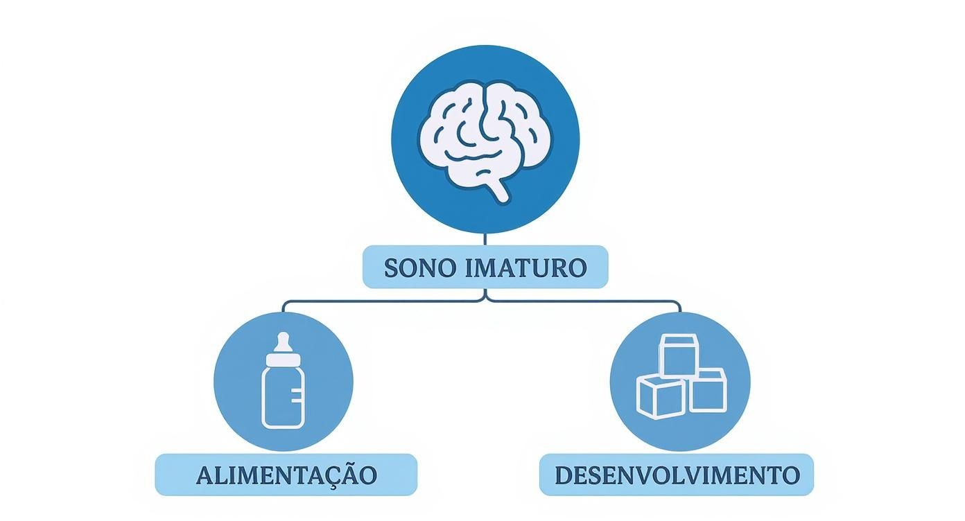 Diagrama de fluxo visualizando o sono imaturo de bebês e sua ligação com alimentação e desenvolvimento.