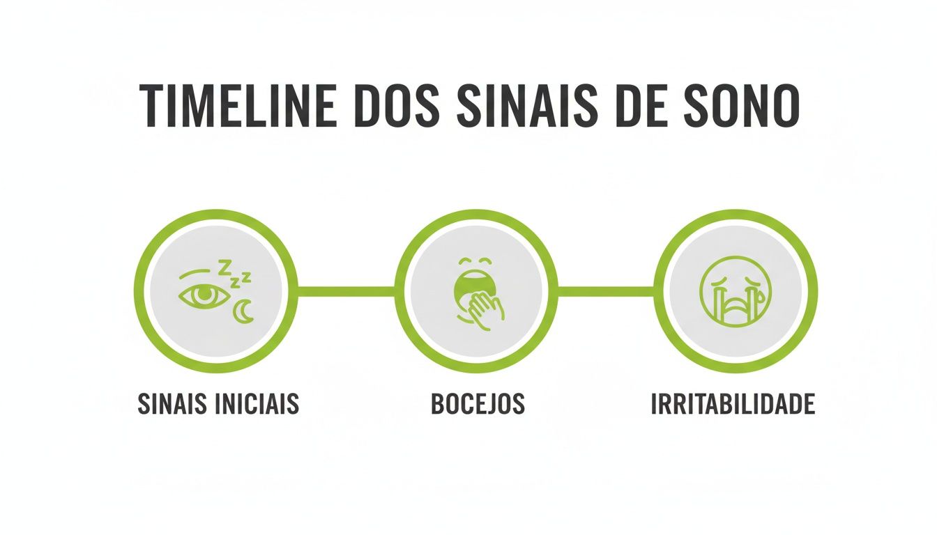Linha do tempo visual dos sinais de sono, incluindo sinais iniciais como sonolência, bocejos e irritabilidade.