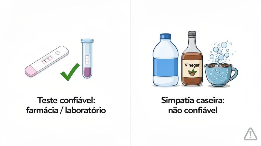 Imagem comparando testes de gravidez confiáveis (farmácia/laboratório) com métodos caseiros não confiáveis (vinagre/água sanitária).