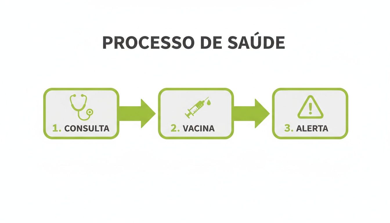 Infográfico detalhando o processo de saúde com três etapas: consulta (estetoscópio), vacina (seringa) e alerta (sinal de exclamação).