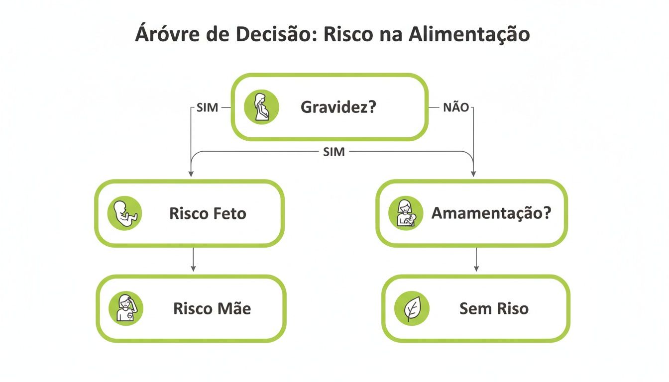 Árvore de decisão sobre riscos alimentares na gravidez e amamentação, mostrando resultados como risco fetal, materno ou sem risco.