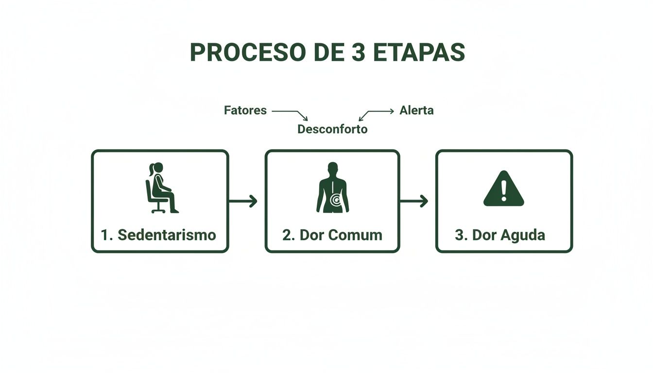 Infográfico mostrando o processo de 3 etapas da dor: sedentarismo, dor comum e dor aguda.