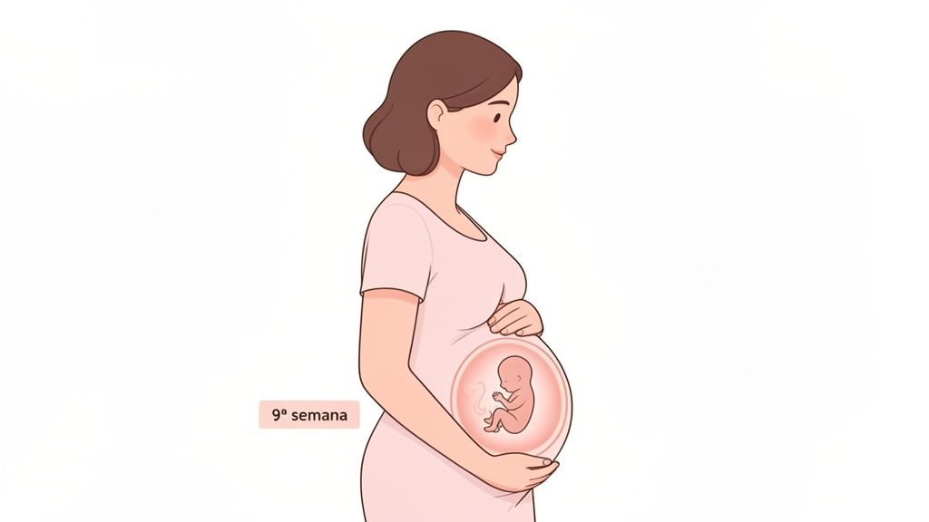 Mulher grávida segurando a barriga, mostrando um feto de 9 semanas no útero.