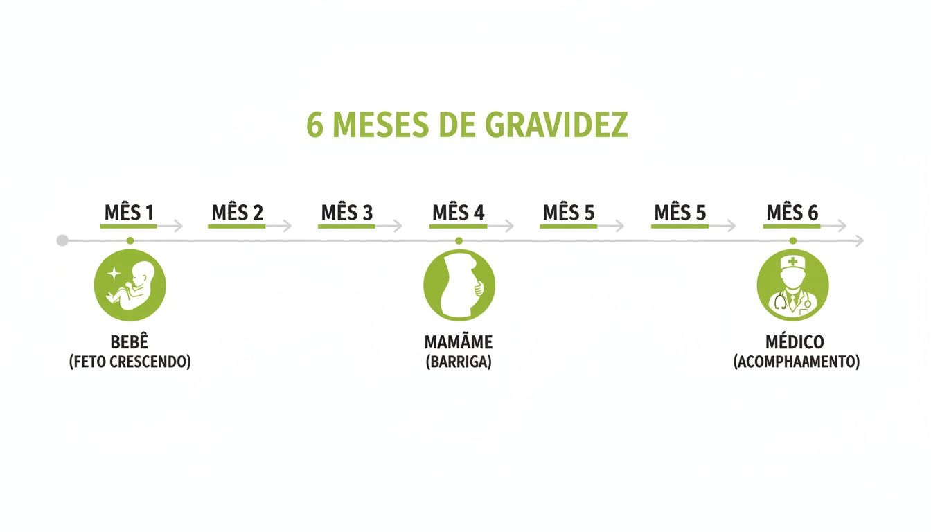 Linha do tempo visual da gravidez, mostrando o desenvolvimento do bebê, a mãe e o acompanhamento médico ao longo de 6 meses.