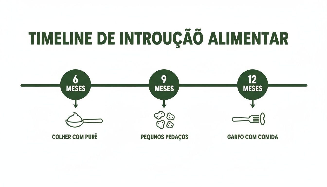 Timeline de introdução alimentar infantil: purê aos 6 meses, pedaços pequenos aos 9 e garfo com comida aos 12.