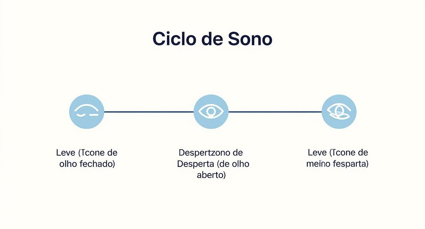 Diagrama ilustrando um ciclo de sono com três fases: sono leve (olho fechado), despertar (olho aberto) e sono leve (olho entreaberto).