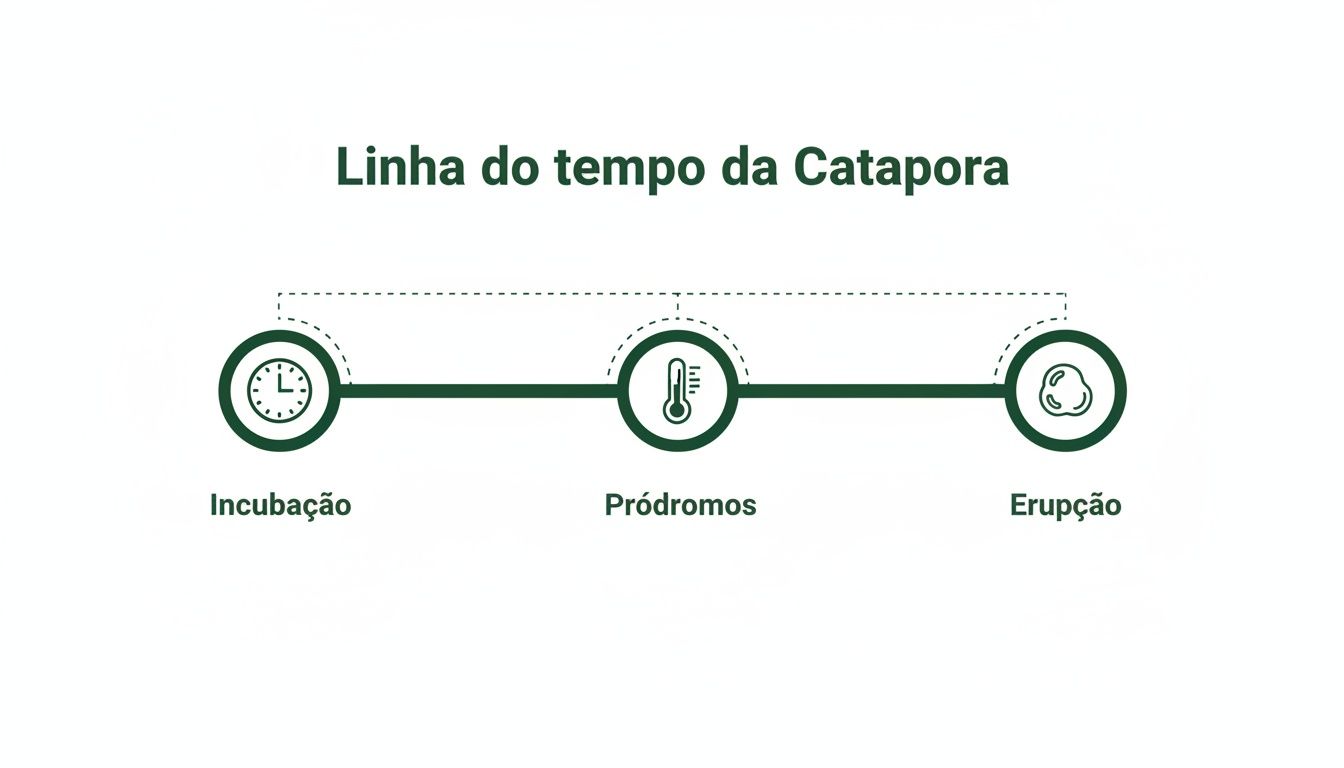Linha do tempo da catapora em três fases: incubação (relógio), pródromos (termômetro) e erupção (bolhas).