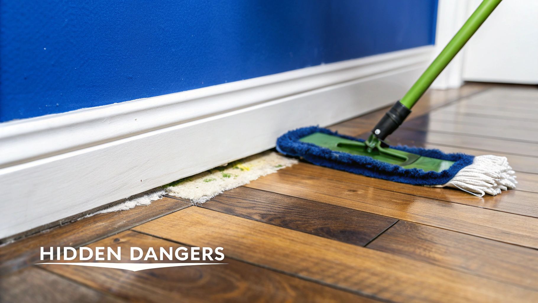 A green mop cleans a wooden floor next to a blue wall and white baseboard, revealing hidden mold.