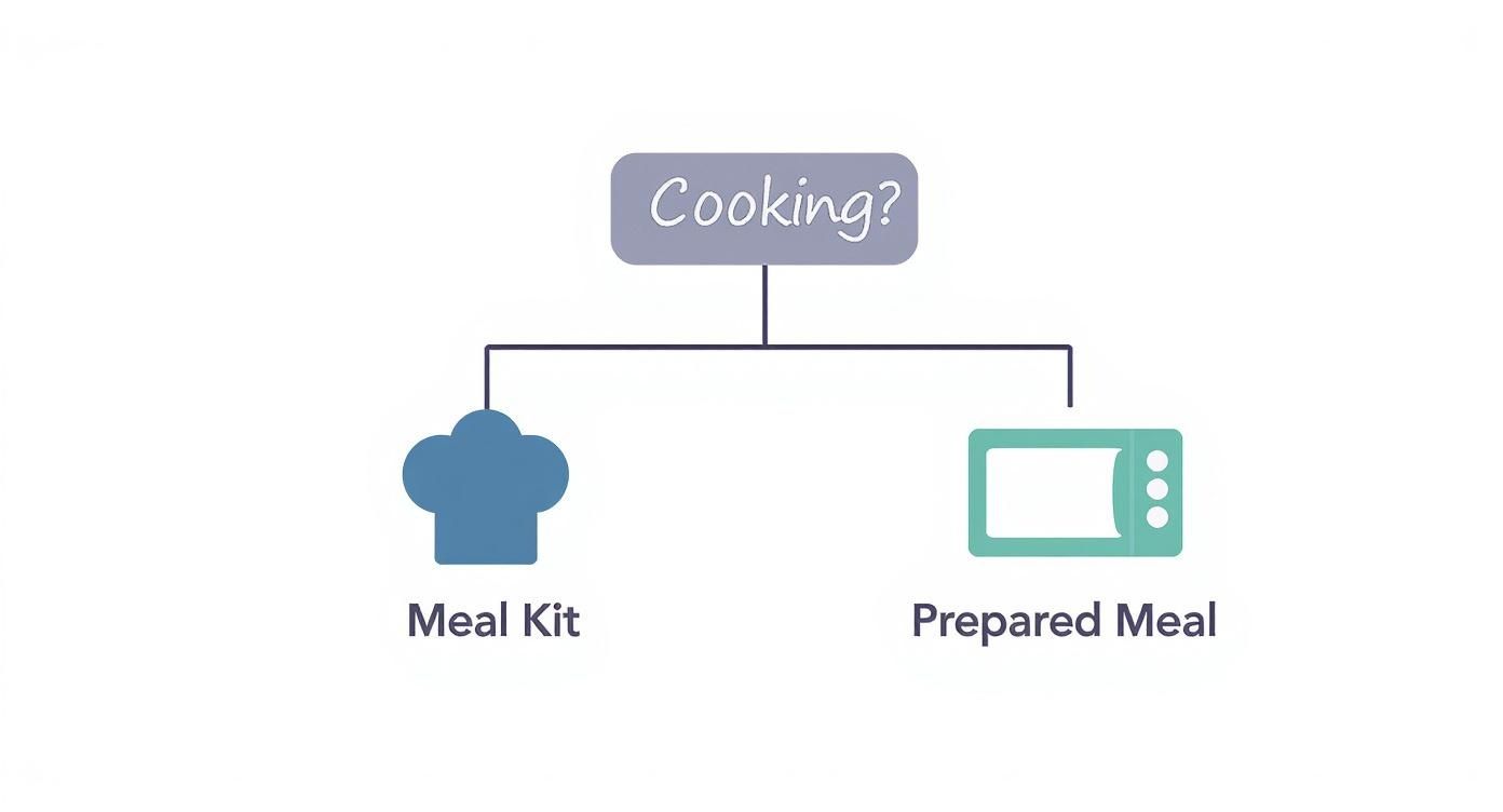 Infographic about best meal prep companies