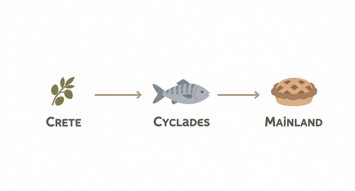 Infographic about greek food culture