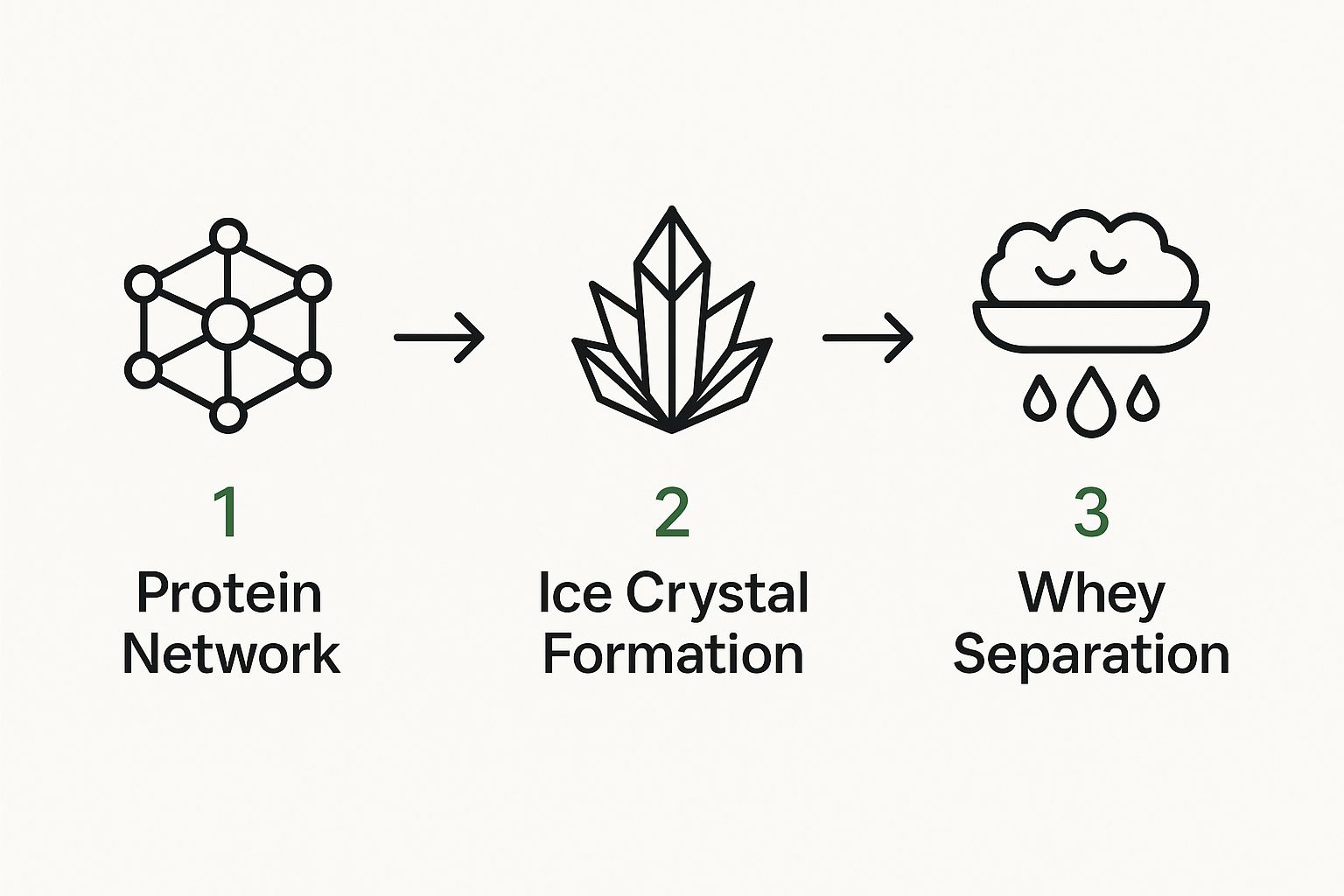 Infographic about can greek yogurt be frozen