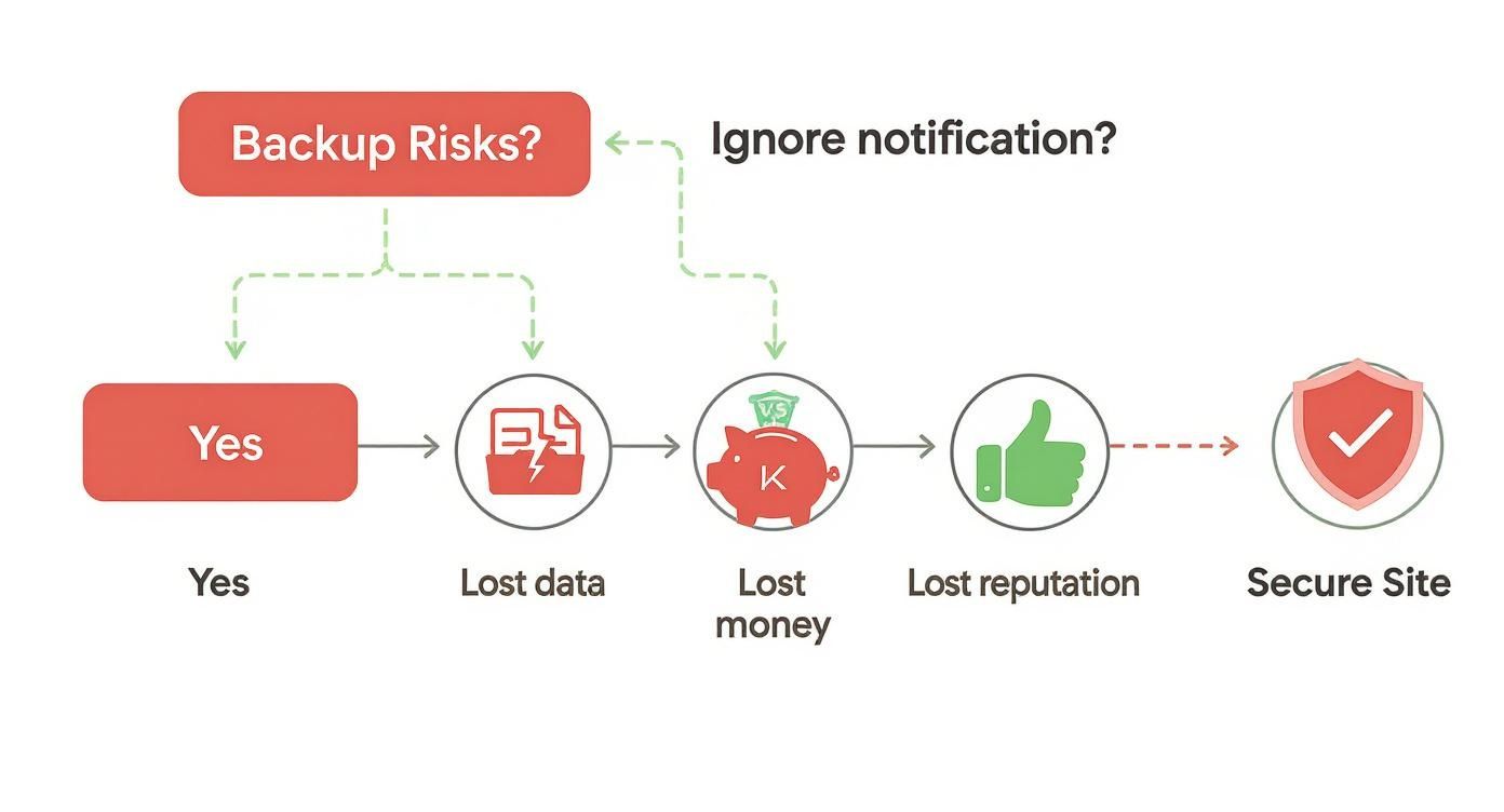 Infographic about ce inseamna backup oprit