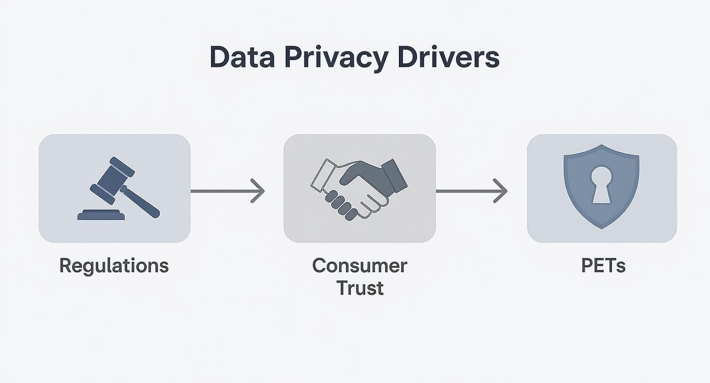Flowchart illustrating data privacy drivers: regulations lead to consumer trust, which drives PETs adoption.