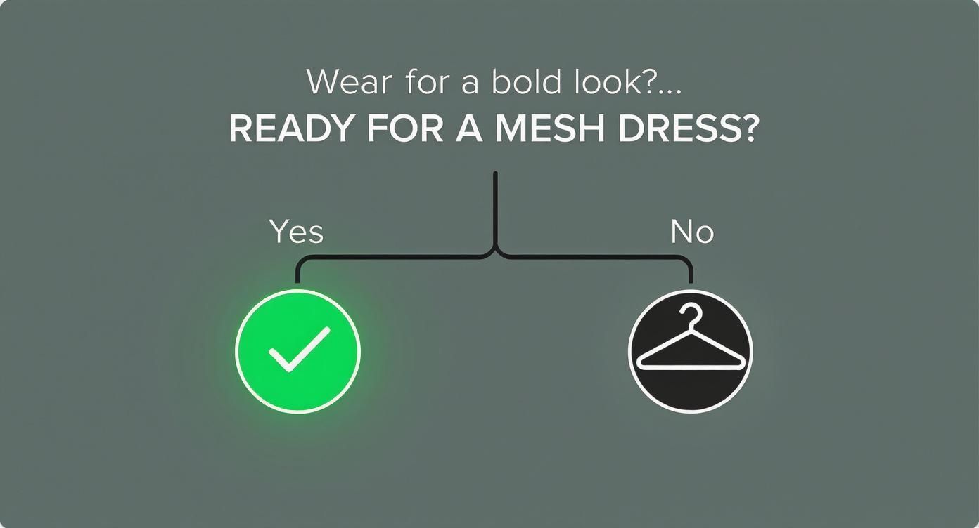 Decision tree asking "Ready for a mesh dress?" with options Yes (green checkmark) and No (hanger icon).